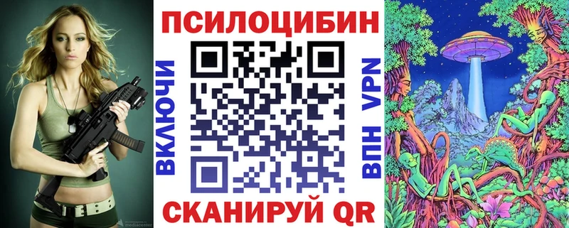 Купить закладки  Канаш  Псилоцибиновые грибы мицелий 
